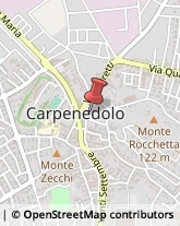 Ricerca Scientifica - Istituti Carpenedolo,25013Brescia