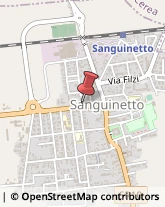 Autofficine e Centri Assistenza Sanguinetto,37058Verona
