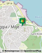 Importatori ed Esportatori Muggia,34015Trieste