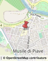 Medie - Scuole Private Musile di Piave,30024Venezia