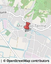 Autofficine e Centri Assistenza Miradolo Terme,27010Pavia