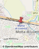 Bar e Caffetterie Motta di Livenza,31045Treviso