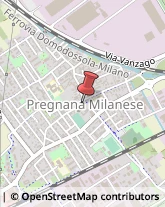 Macellerie Pregnana Milanese,20010Milano