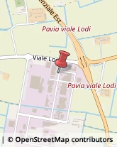 Idraulici e Lattonieri Pavia,27100Pavia