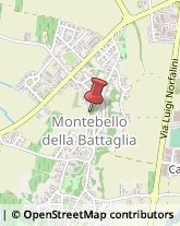 Geometri Montebello della Battaglia,27054Pavia
