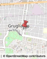 Tour Operator e Agenzia di Viaggi Grugliasco,10095Torino