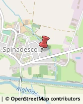 Agopuntura Spinadesco,26020Cremona