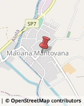 Manutenzione Stabili Mariana Mantovana,46100Mantova
