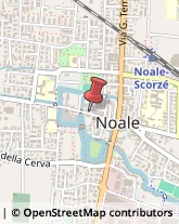 Fotocopie Noale,30033Venezia