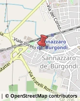 Consulenze Speciali Sannazzaro de' Burgondi,27039Pavia