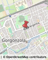 Agenzie Immobiliari Gorgonzola,20064Milano