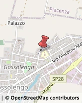 Aziende Sanitarie Locali (ASL) Gossolengo,29020Piacenza