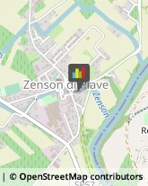 Banche e Istituti di Credito Zenson di Piave,31050Treviso