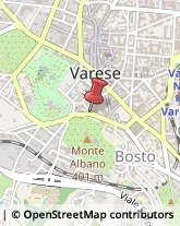 Cornici ed Aste - Dettaglio Varese,21100Varese