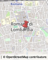 Alimenti Conservati Romano di Lombardia,24058Bergamo