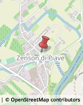 Scuole Pubbliche Zenson di Piave,31050Treviso