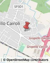 Cereali e Granaglie Gropello Cairoli,27027Pavia