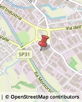 Pelli per Pellicceria,36071Vicenza