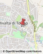 Piante e Fiori - Ingrosso Rivalta di Torino,10040Torino