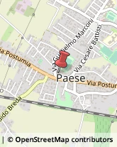 Copisterie Paese,31038Treviso