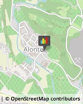 Macellerie Alonte,36045Vicenza