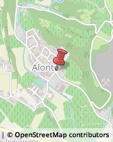 Macellerie Alonte,36045Vicenza