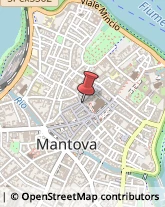 Borse - Dettaglio Mantova,46100Mantova