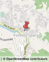 Imprese di Pulizia Foresto Sparso,24060Bergamo