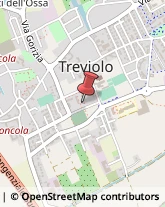 Piante e Fiori - Ingrosso Treviolo,24048Bergamo