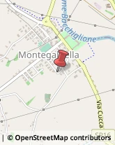 Agenti e Rappresentanti di Commercio Montegaldella,36047Vicenza