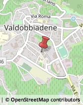 Ricerca Scientifica - Istituti Valdobbiadene,31049Treviso