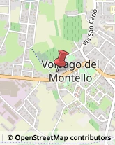 Gelati - Produzione e Commercio Volpago del Montello,31040Treviso