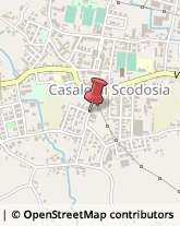 Calzature su Misura Casale di Scodosia,35040Padova