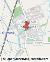 Agenzie Immobiliari Olevano di Lomellina,27020Pavia