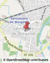 Consulenza Informatica,27039Pavia