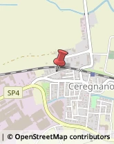 Pavimenti Ceregnano,45010Rovigo