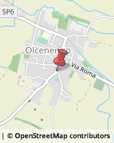 Aziende Agricole Olcenengo,13047Vercelli