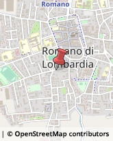 Commercialisti Romano di Lombardia,24058Bergamo