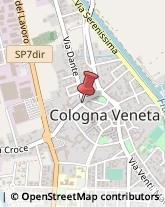 Commercialisti Cologna Veneta,37044Verona