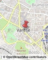 Agenzie di Animazione e Spettacolo Varese,21100Varese