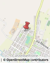 Amministrazioni Immobiliari Castelbelforte,46032Mantova