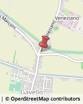 Autofficine e Centri Assistenza Gavello,45010Rovigo