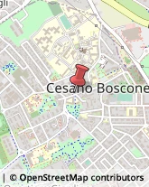 Case di Riposo e Istituti di Ricovero per Anziani Cesano Boscone,20090Milano