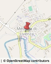 Farmacie Meduna di Livenza,31040Treviso