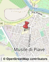 Scuole Pubbliche Musile di Piave,30024Venezia