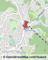 Agenzie Immobiliari Selvino,24020Bergamo