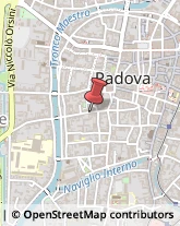 Pelliccerie Padova,35141Padova