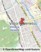 Consulenza alle Imprese e agli Enti Pubblici Vittorio Veneto,31029Treviso