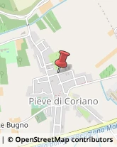 Agenti e Rappresentanti di Commercio Pieve di Coriano,46020Mantova