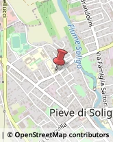 Scuole e Corsi di Lingua,31053Treviso